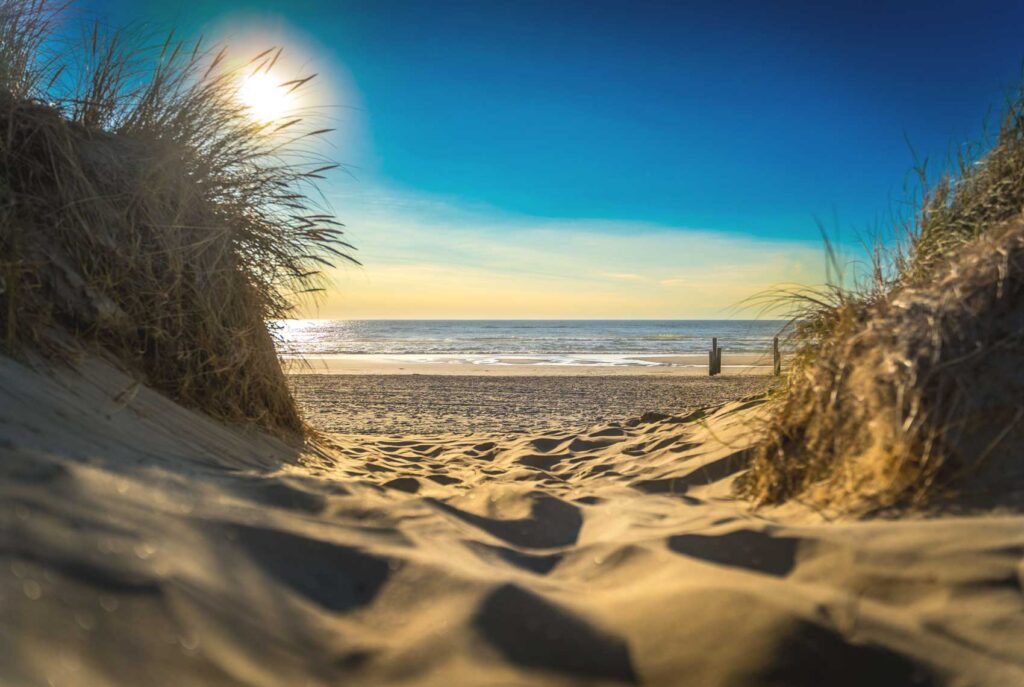 Strand mit Muscheln und Seesternen