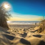 Strand mit Muscheln und Seesternen